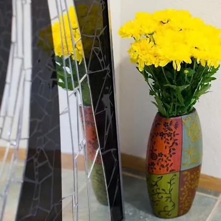 Apartma Liza Apartman *